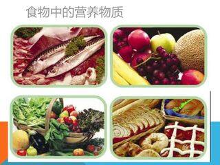 食物中的营养物质