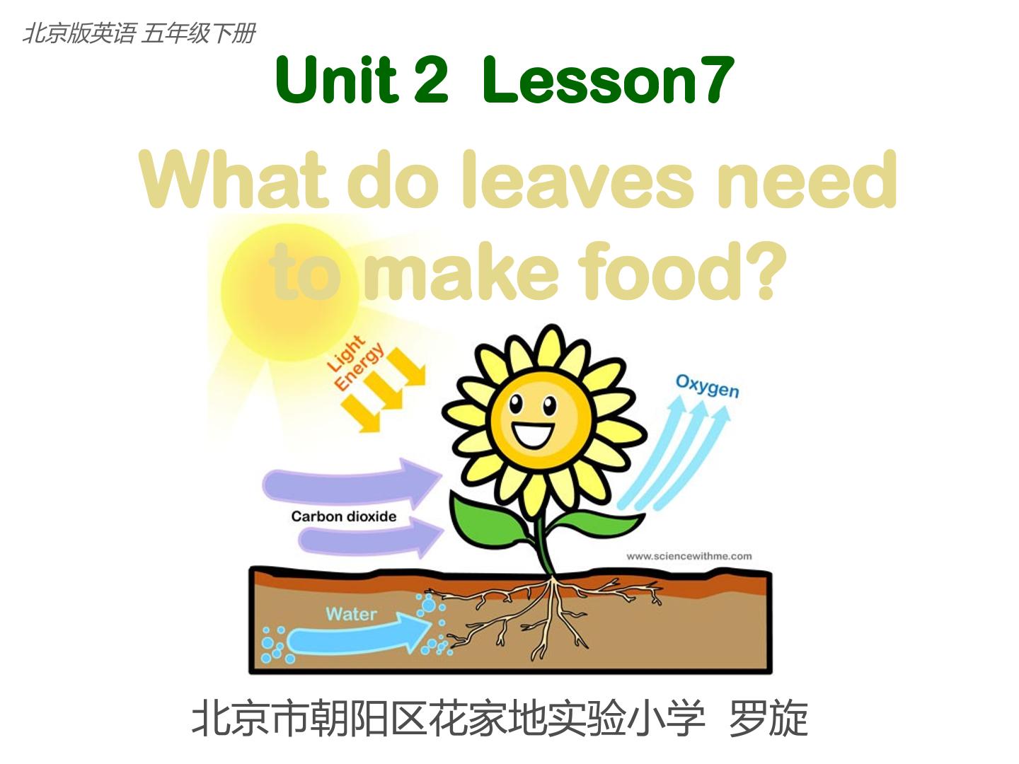 五年级下册 Unit2 Lesson7 教学课件