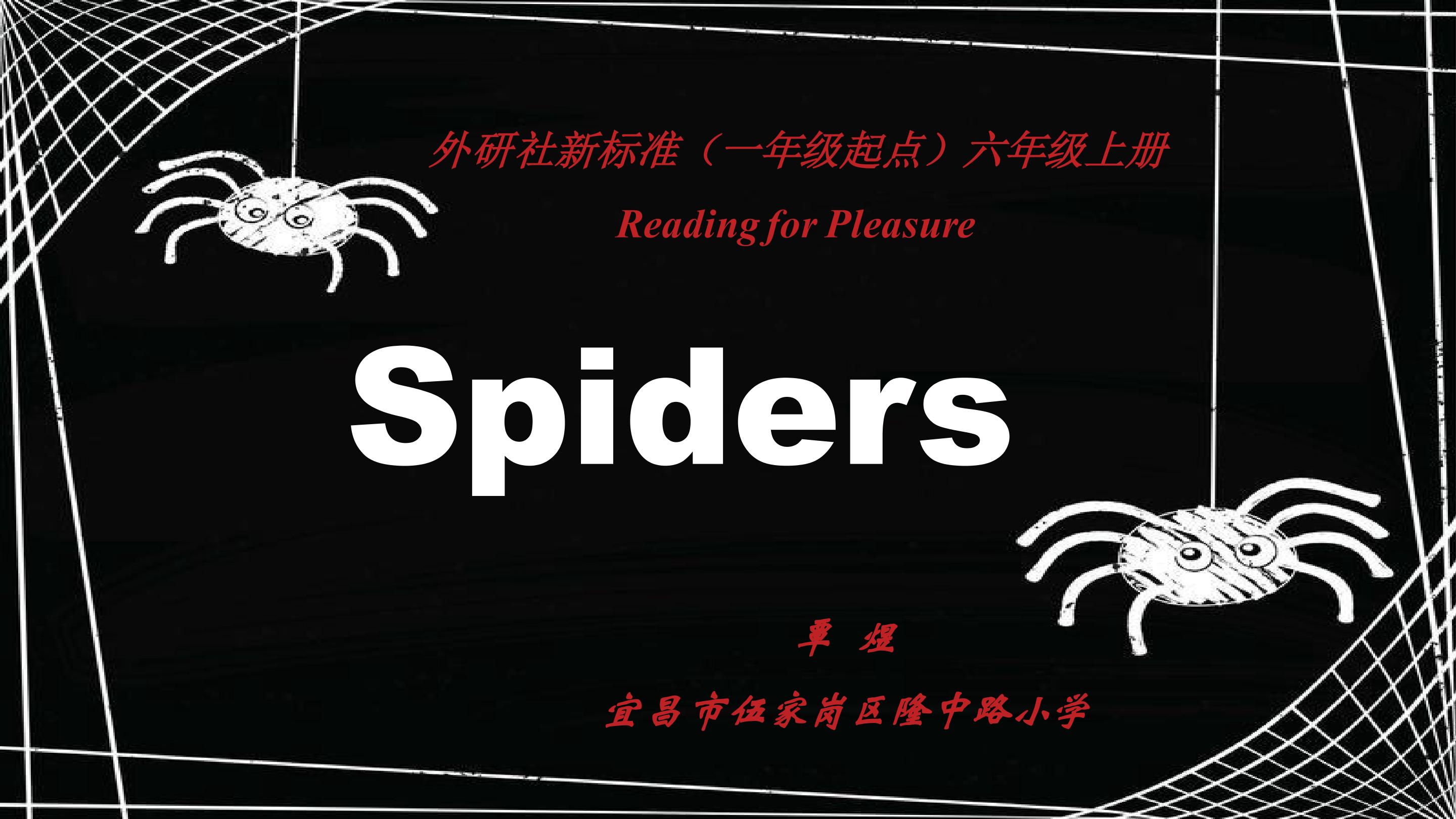 Spiders