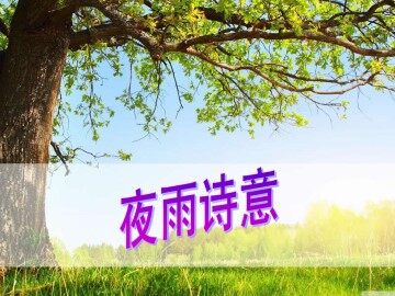 夜雨诗意_课件1