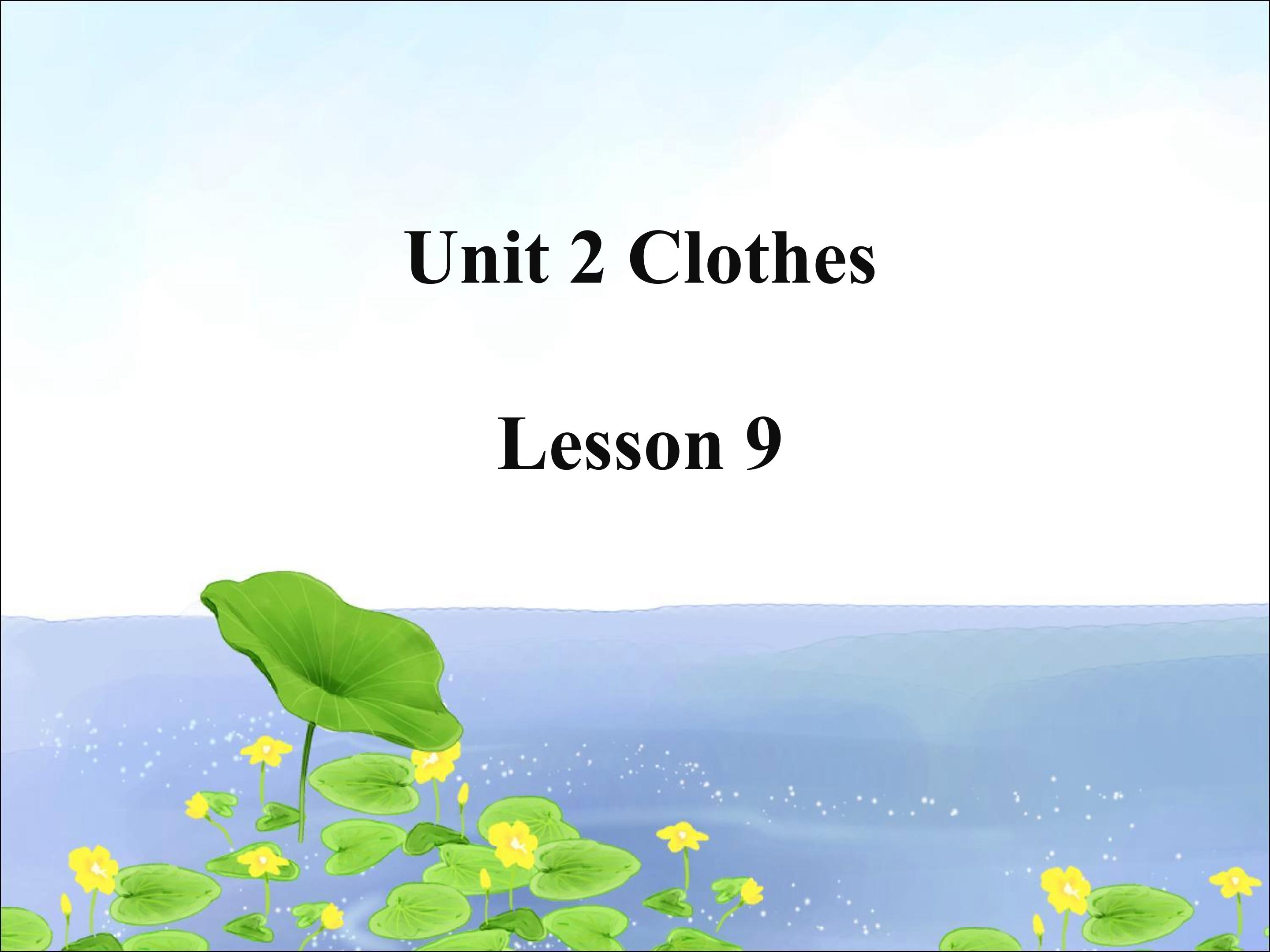 Unit 2 Clothes Lesson 9