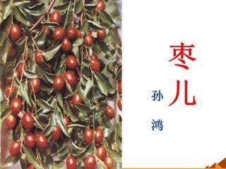 枣儿_课件2