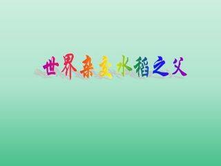 世界杂交水稻之父_课件1