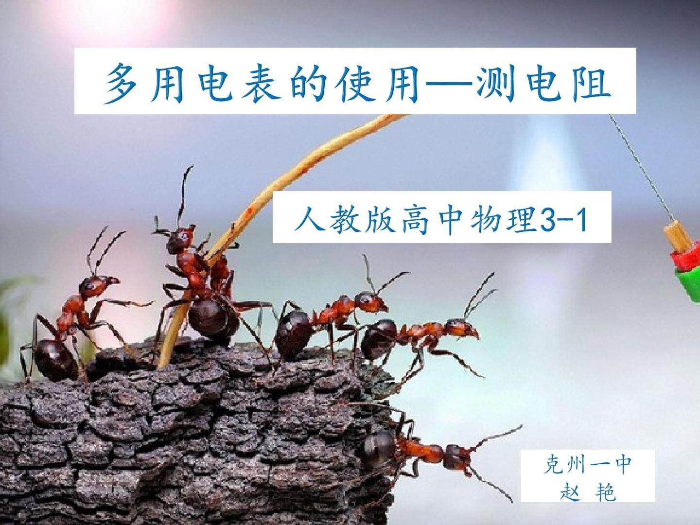 多用电表的使用—测电阻
