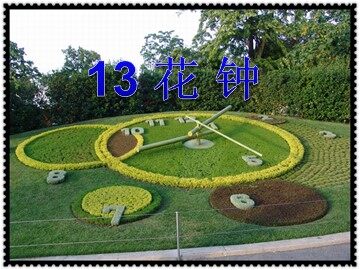 13 花钟