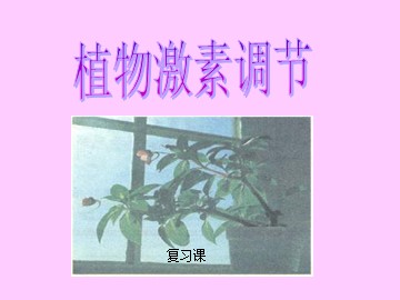 生物高中必修3第三章第一~三节第一课时复习课件