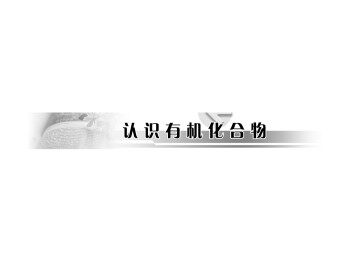 有机化合物的分类_课件8