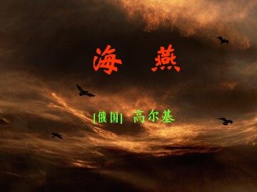 海燕_课件17