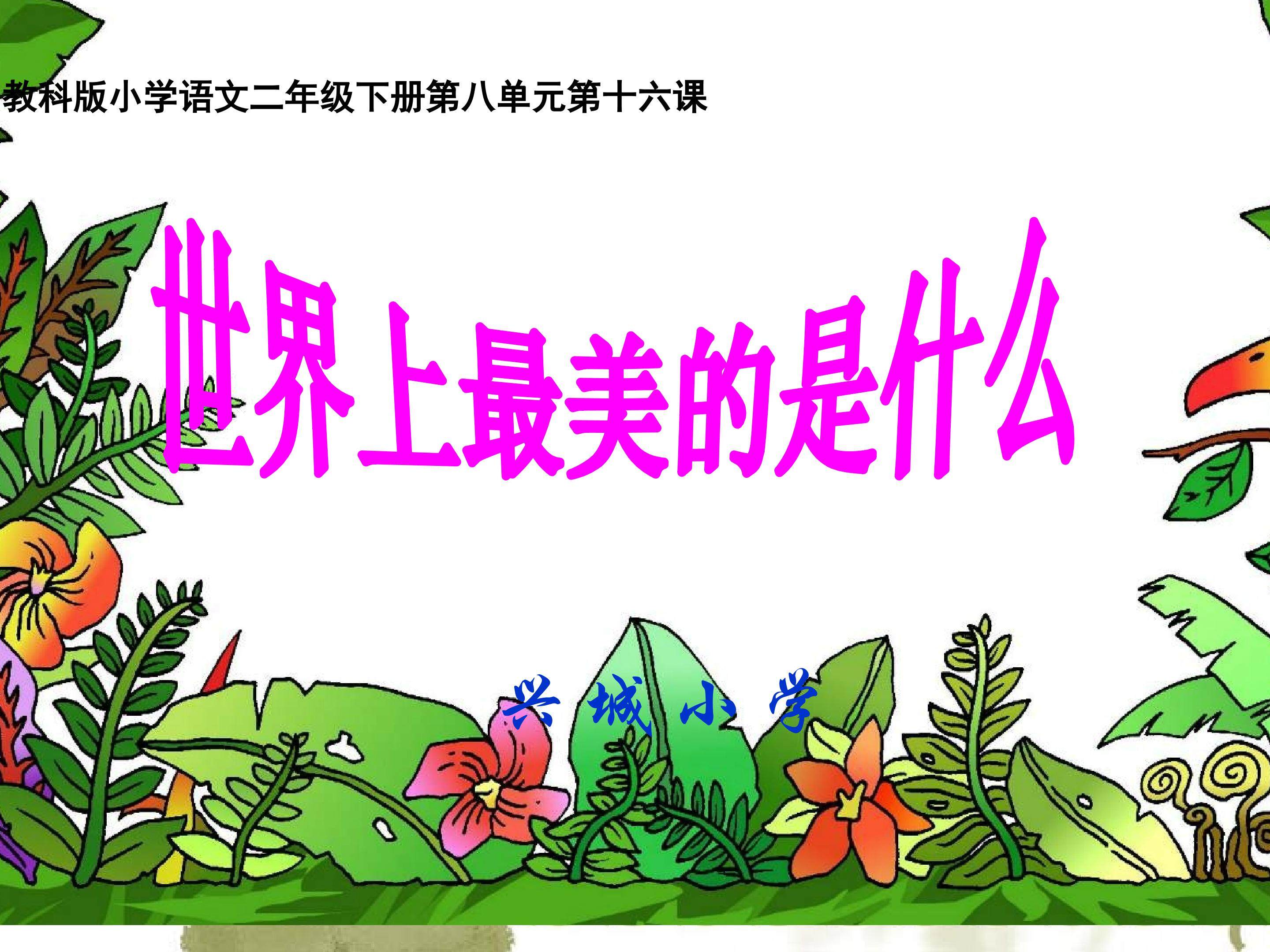 世界上最美的是什么