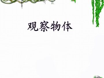 观察物体_课件1
