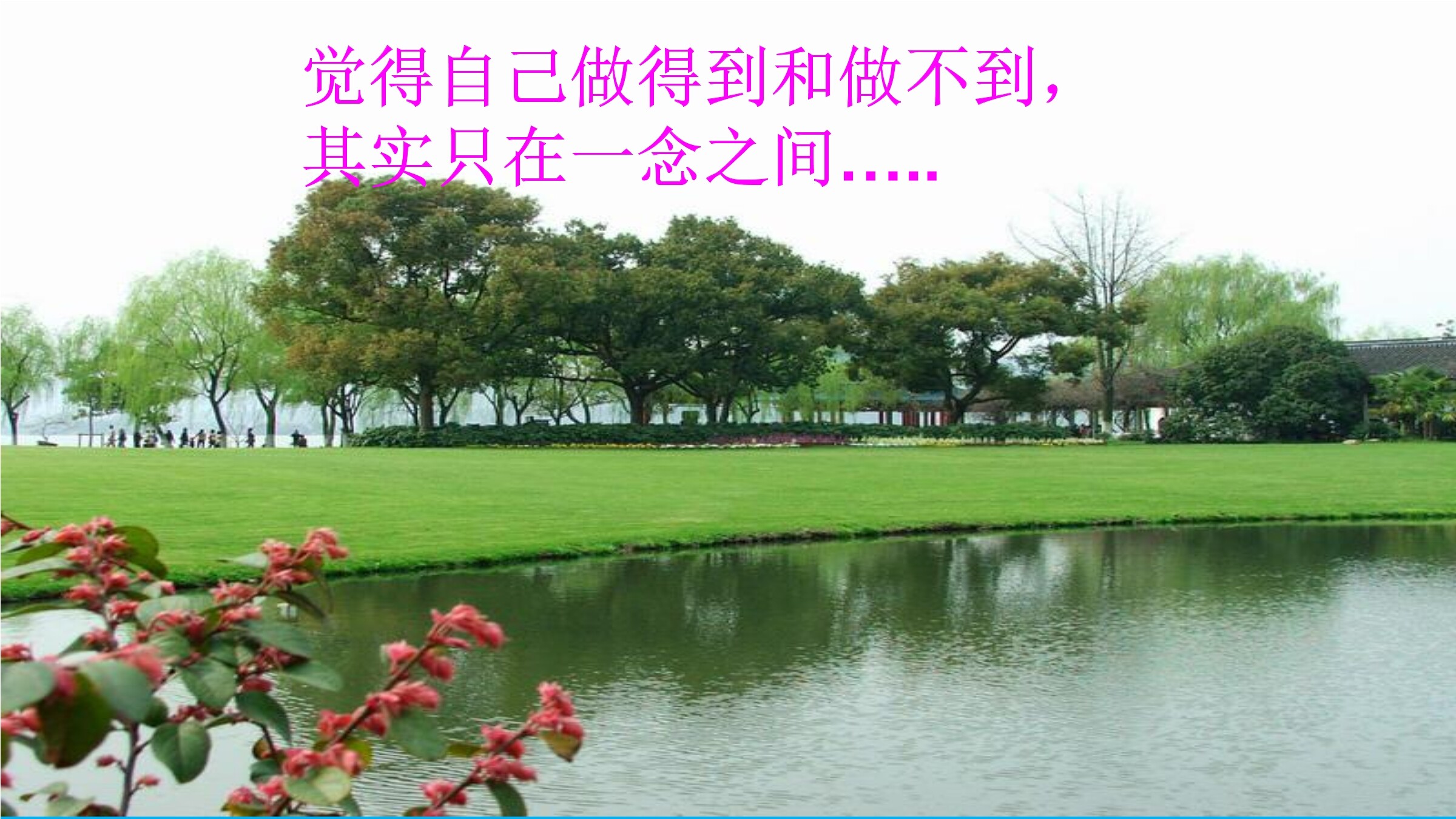 统计调查