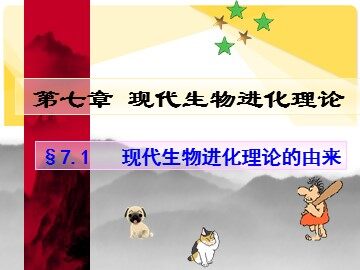 第1节  现代生物进化理论的由来