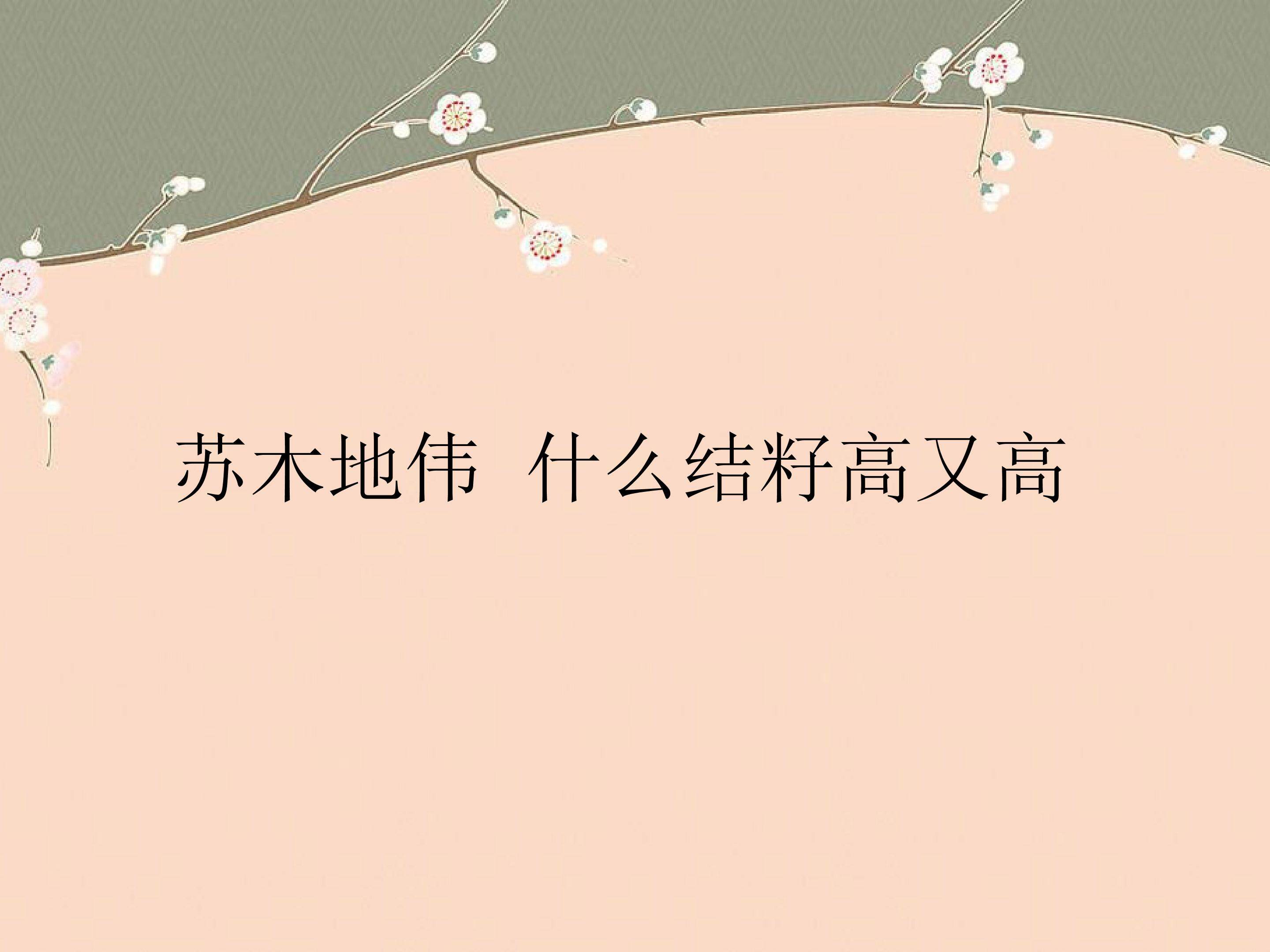 苏木地伟  什么结籽高又高_课件1