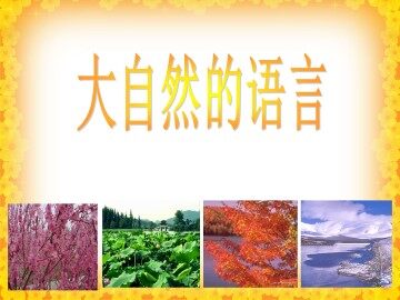 大自然的语言_课件1