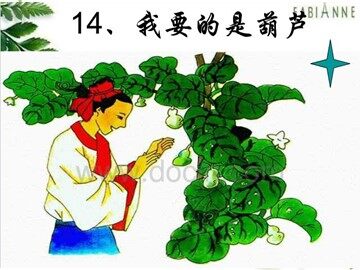 14 我要的是葫芦 