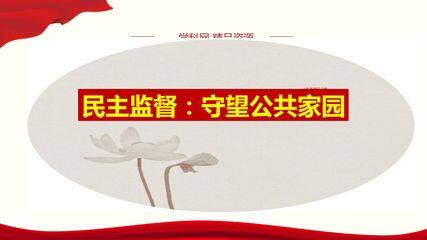 民主监督:守望公共家园