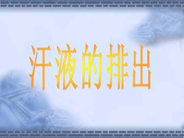 汗液的排出_课件1