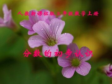 几分之一
