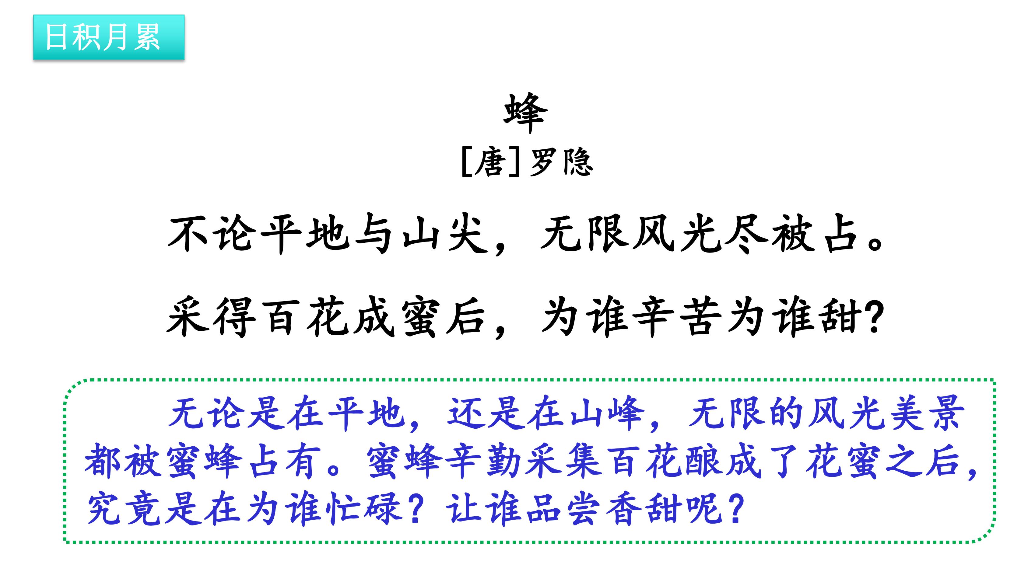 65.jpg