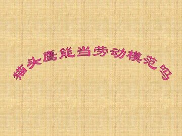 猫头鹰能当劳动模范吗_课件1