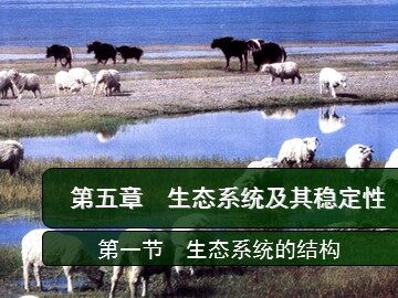 生物高中必修3第五章第一节课件24