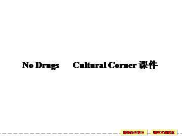 No Drugs_课件15