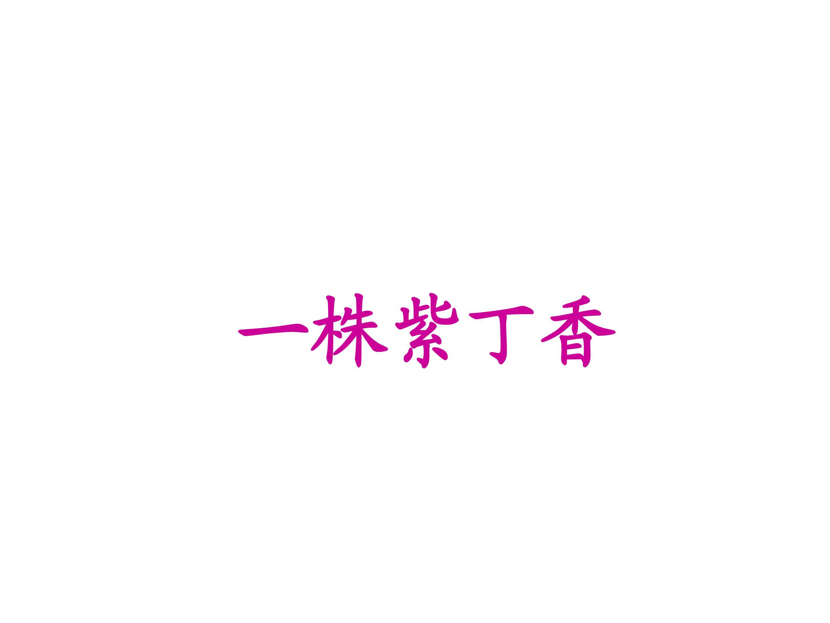 一株紫丁香_课件3