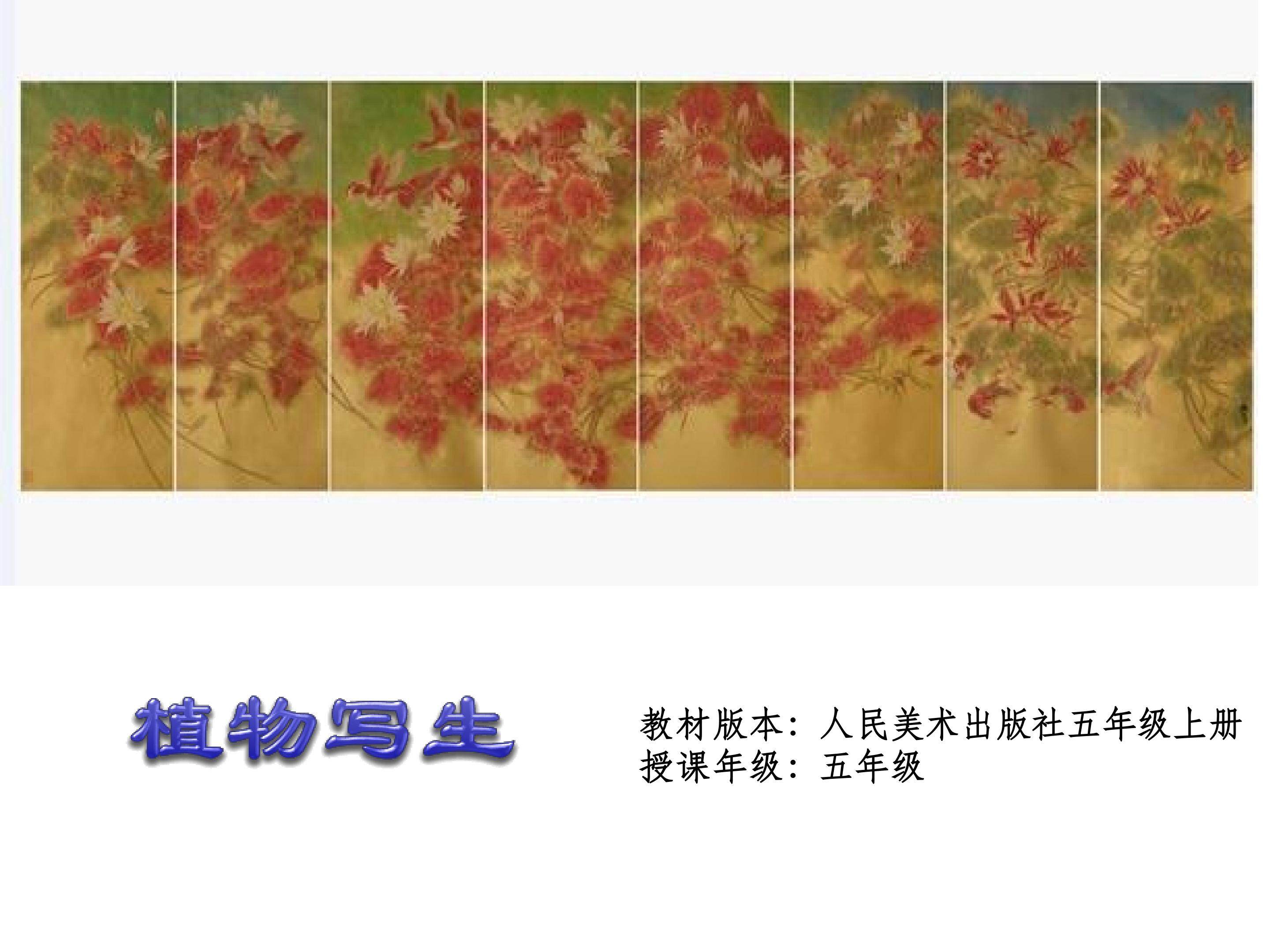 《植物写生》