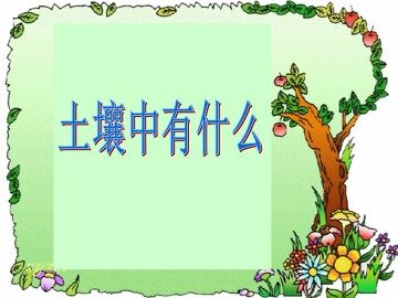 土壤中有什么_课件1