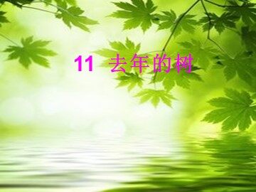 11去年的树