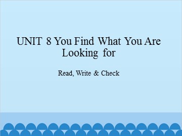 UNIT 8 You Find What You Are Looking for Read, Write & Check_课件1