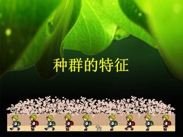 种群的特征_课件1