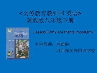 Lesson8Book4课件
