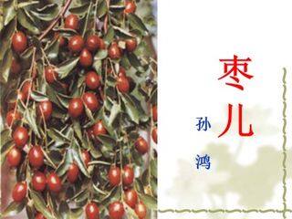 枣儿_课件3