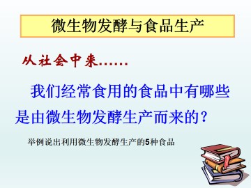 微生物发酵与食品生产_课件1