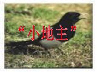 “小地主”_课件1