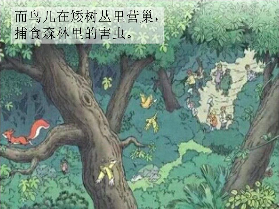 8.jpg