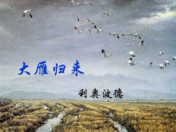 14＊大雁归来