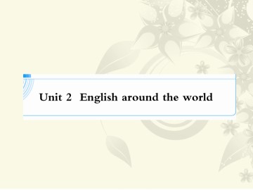 English around the world_课件45