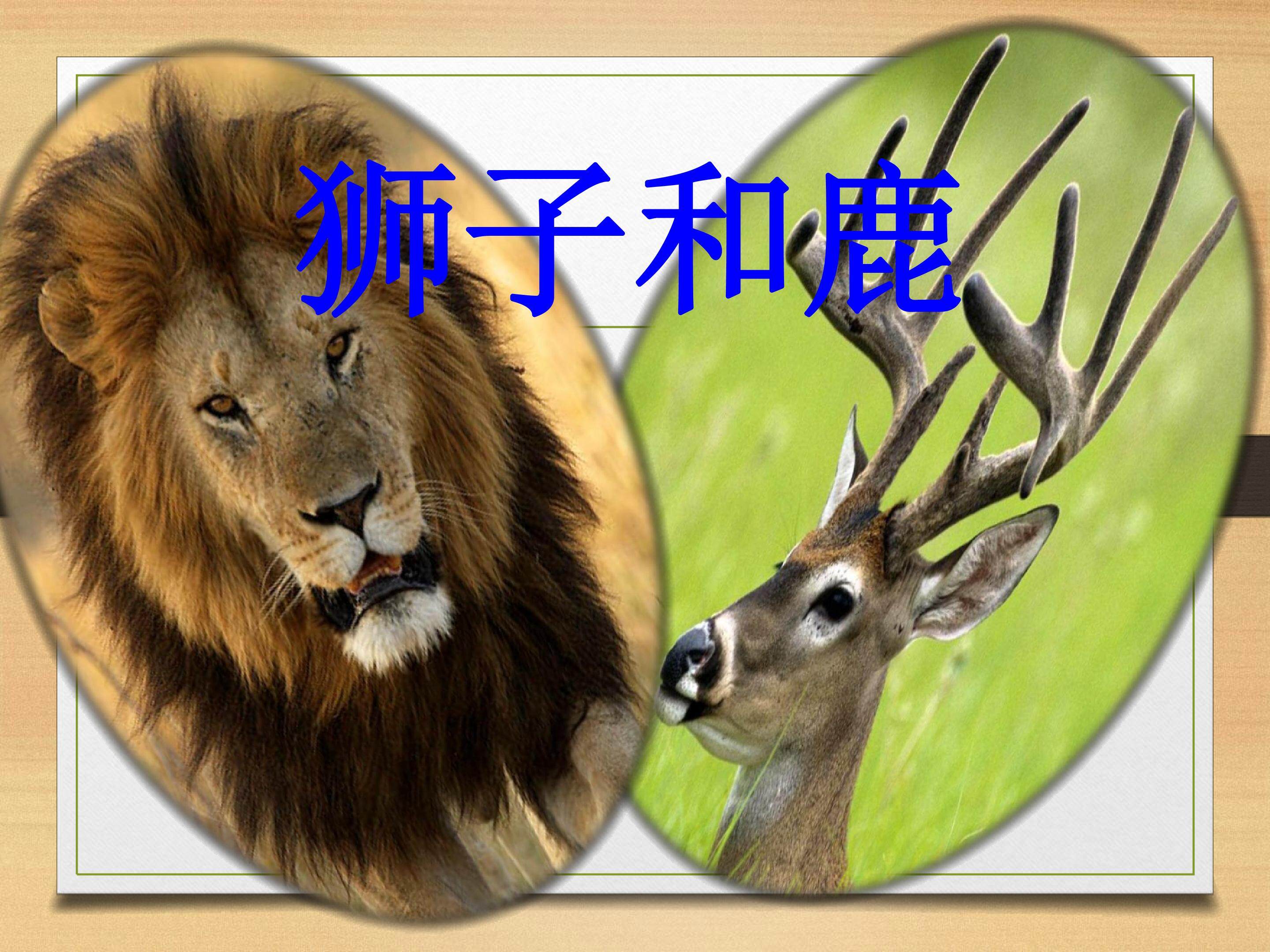 狮子和鹿