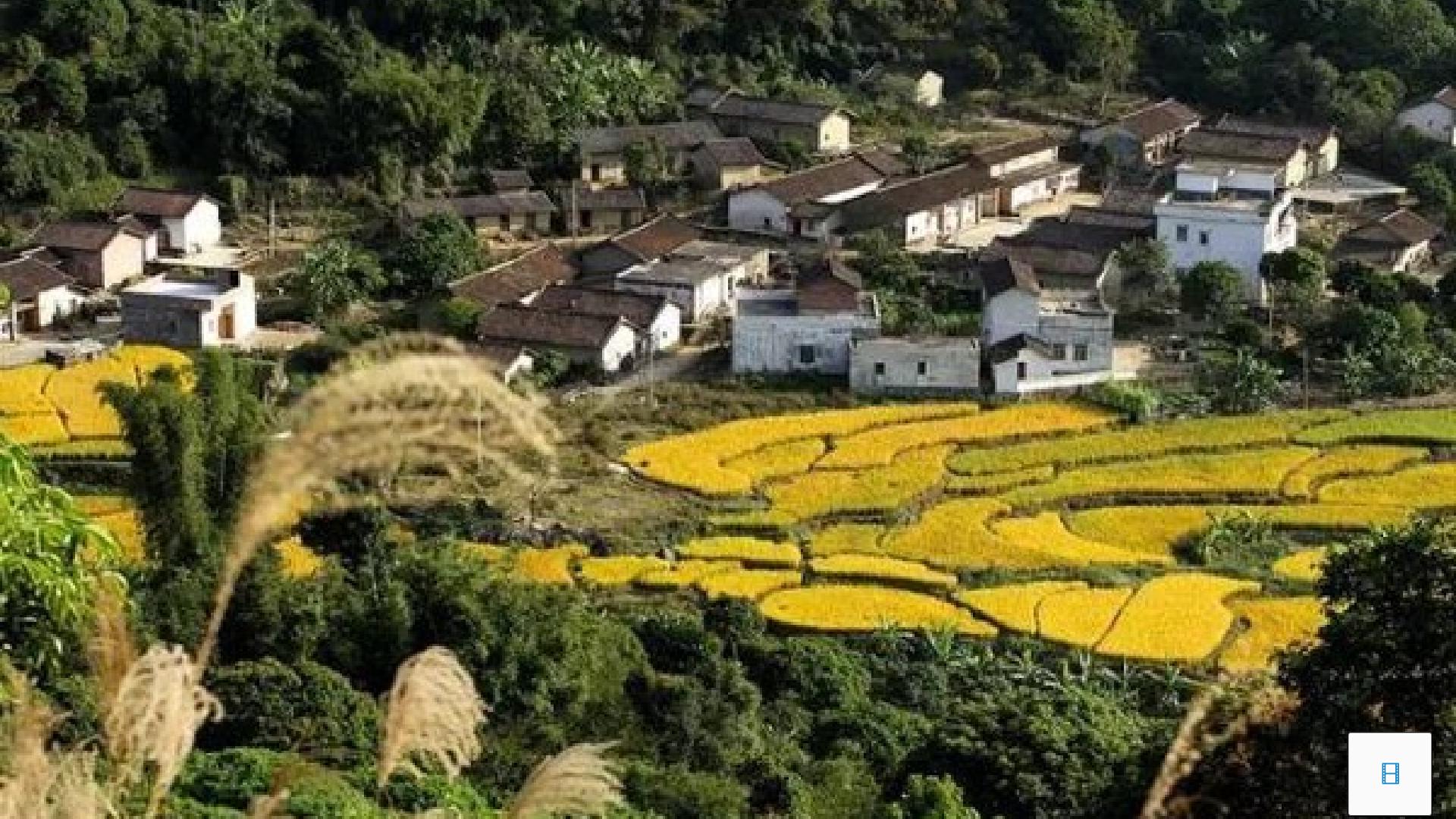 传统纹饰 民族风格