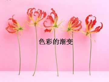 色彩的渐变_课件1