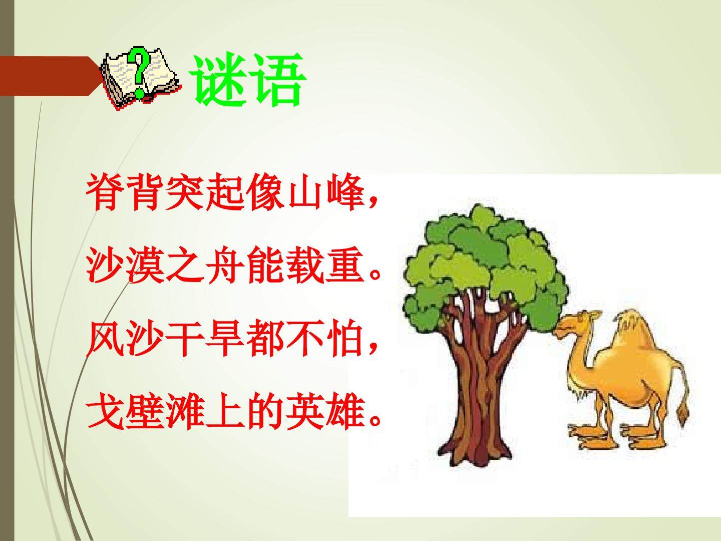 找骆驼