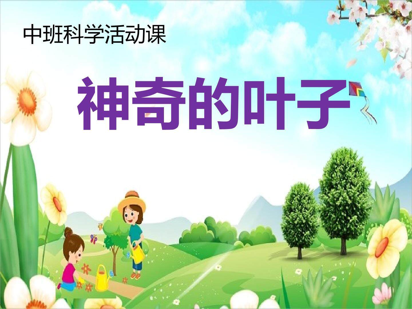 奇妙的叶子
