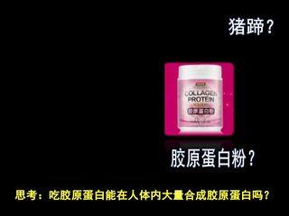 食物的消化和营养物质的吸收(第一课时)