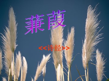 蒹葭_课件1
