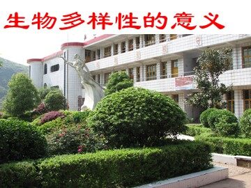 《生物多样性的意义》课件4
