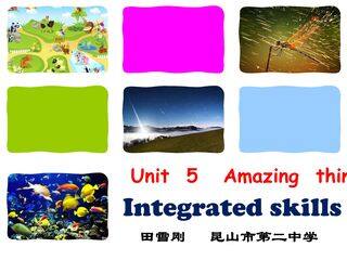 Integrated skills