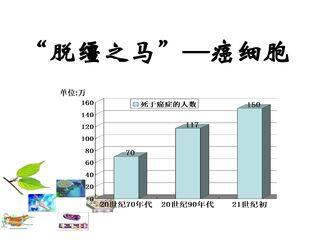 “脱缰之马”—癌细胞