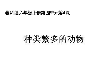 《种类繁多的动物》课件2
